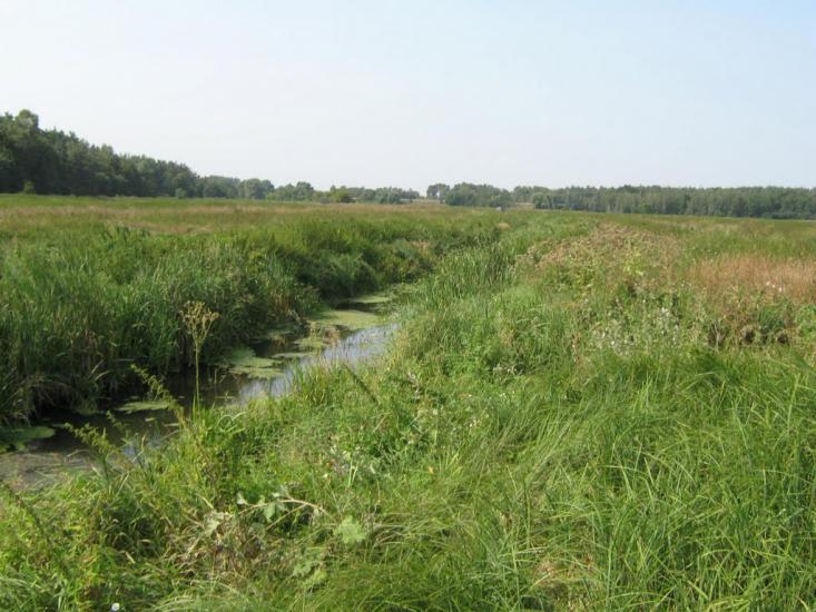 Березань з panoramio.com - Berezan