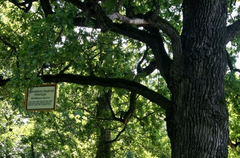 Юрківці з panoramio.com - Юрковцы