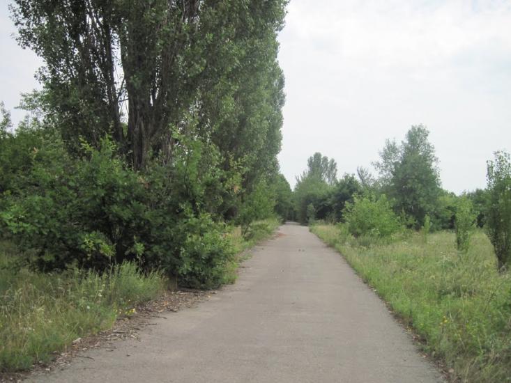 Павлиш з panoramio.com - Павлиш
