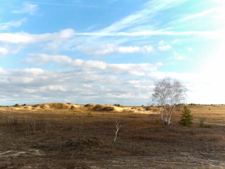 Кицівка з panoramio.com - Кицевка