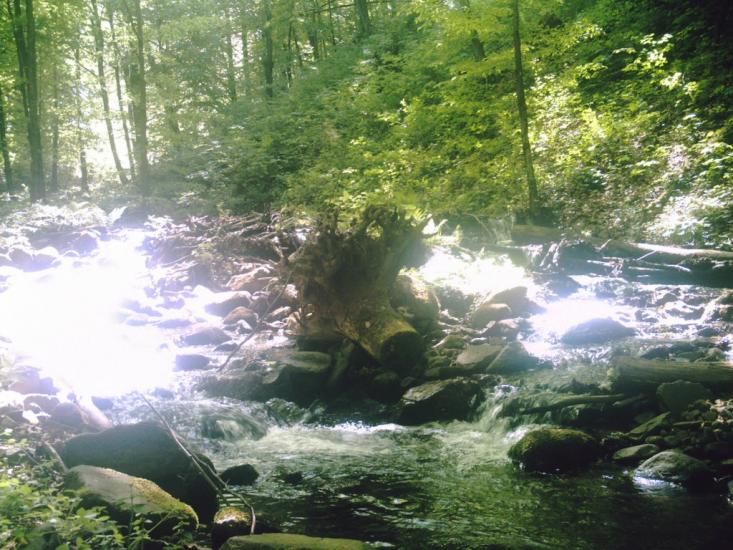 Яблунівка з panoramio.com - Яблоновка