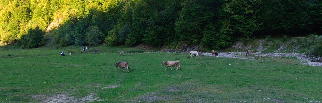 Буковець з panoramio.com - Буковец