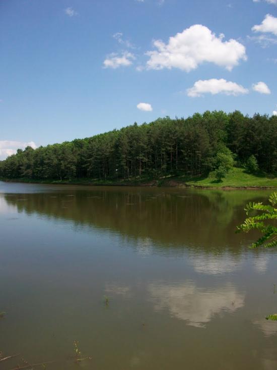 Ковалівка з panoramio.com - Ковалівка