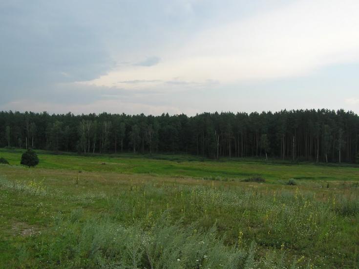 Струмок з panoramio.com - Струмок