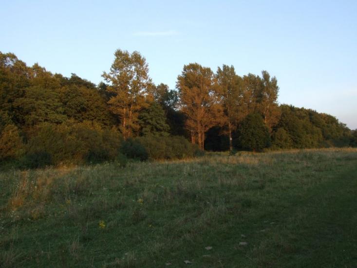 Острів з panoramio.com - Острів