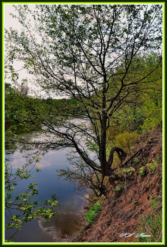 Серебрянка з panoramio.com - Серебрянка