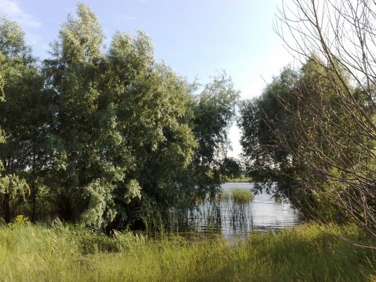 Верхня Оріхівка з panoramio.com - Верхняя Ореховка