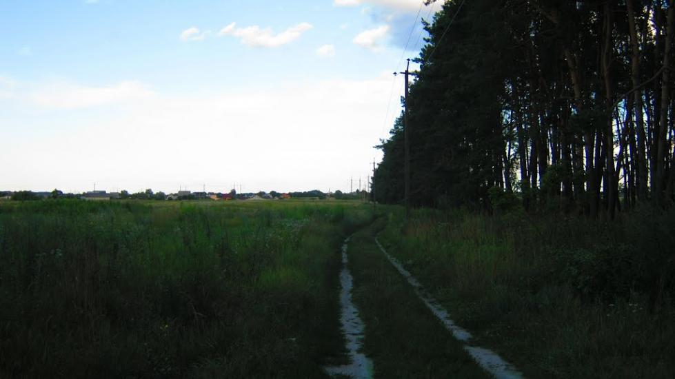 Велика Димерка з panoramio.com - Великая Дымерка