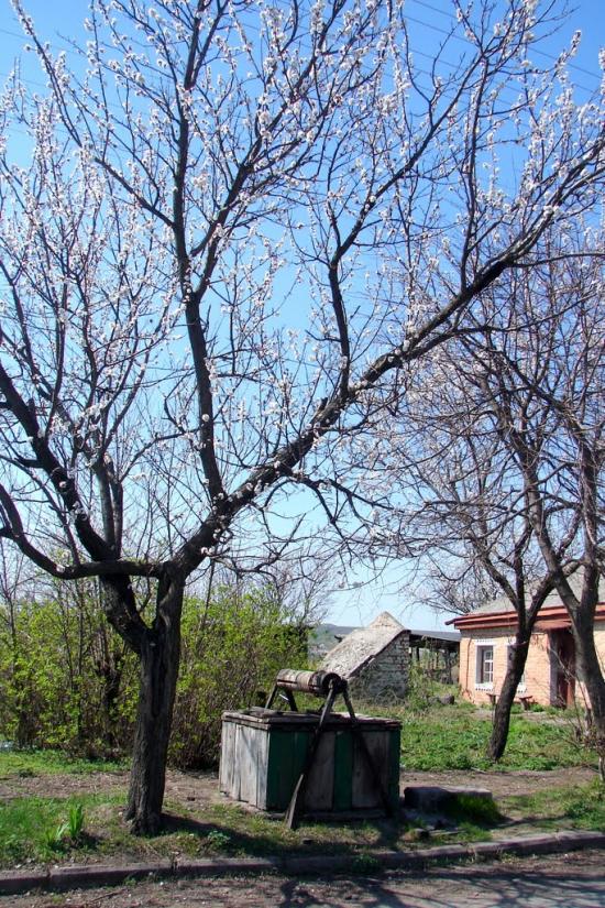 Аджамка з panoramio.com - Аджамка