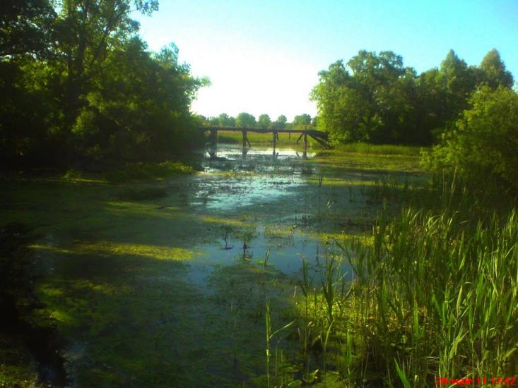 Холодне з panoramio.com - Холодне