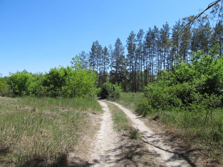 Норцівка з panoramio.com - Норцовка
