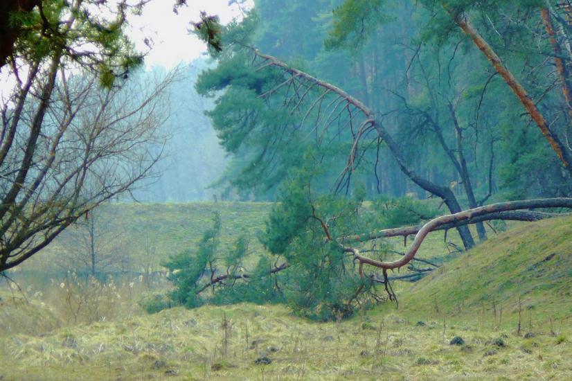 Тростянець з panoramio.com - Тростянец