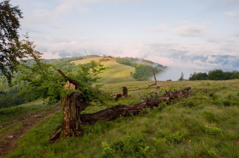 Усть-Чорна з panoramio.com - Усть-Чорна