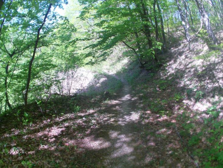 Земляничне з panoramio.com - Zemlyanychne