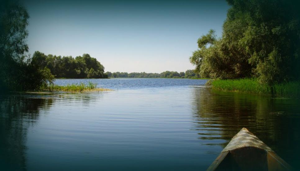 Хрещатик з panoramio.com - Крещатик