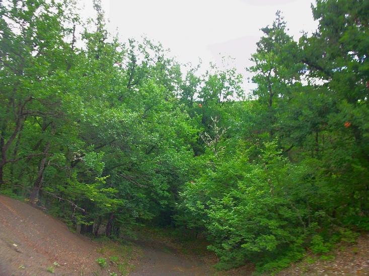 Щасливе з panoramio.com - Schaslyve