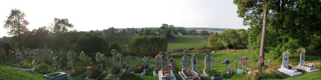 Рибне з panoramio.com - Рибне