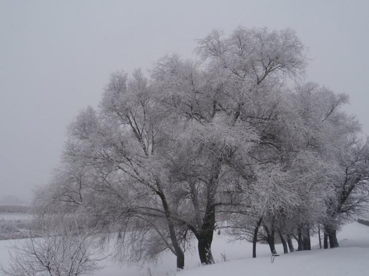 Плавинище з panoramio.com - Plavynysche