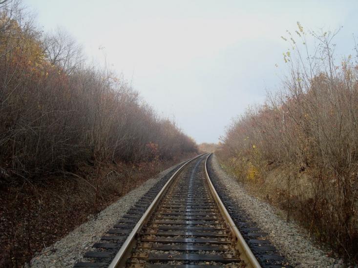 Вільхівчик з panoramio.com - Ольховчик