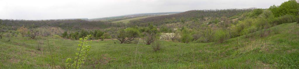 Івангород з panoramio.com - Івангород