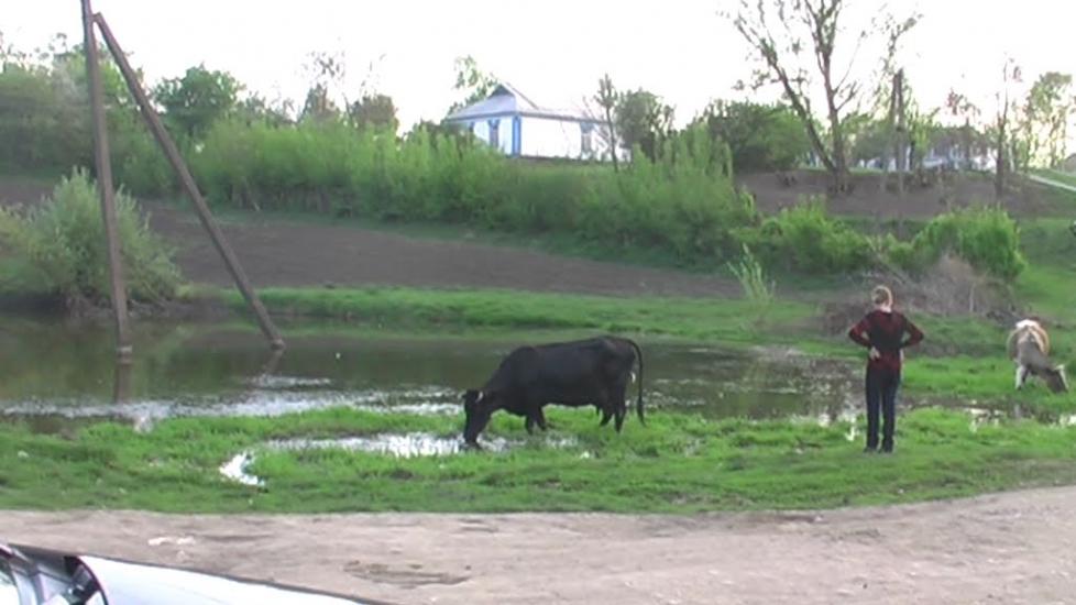 Горошків з panoramio.com - Горошков
