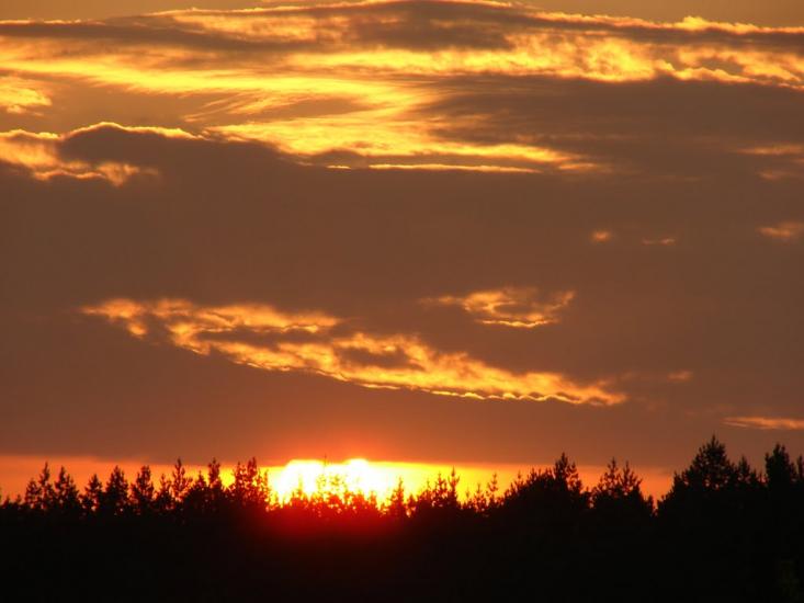 Борова з panoramio.com - Borova