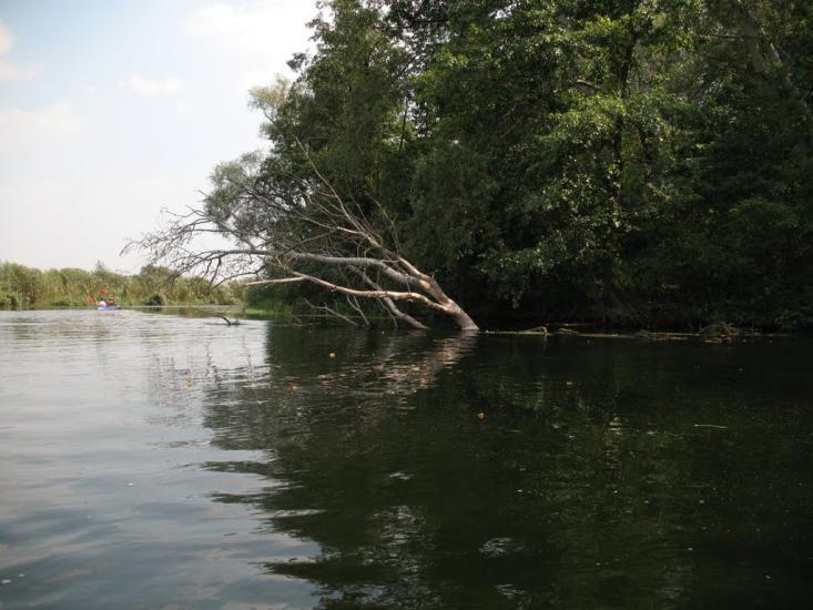 Геївка з panoramio.com - Геївка