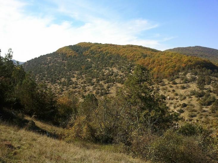 Гончарне з panoramio.com - Гончарное