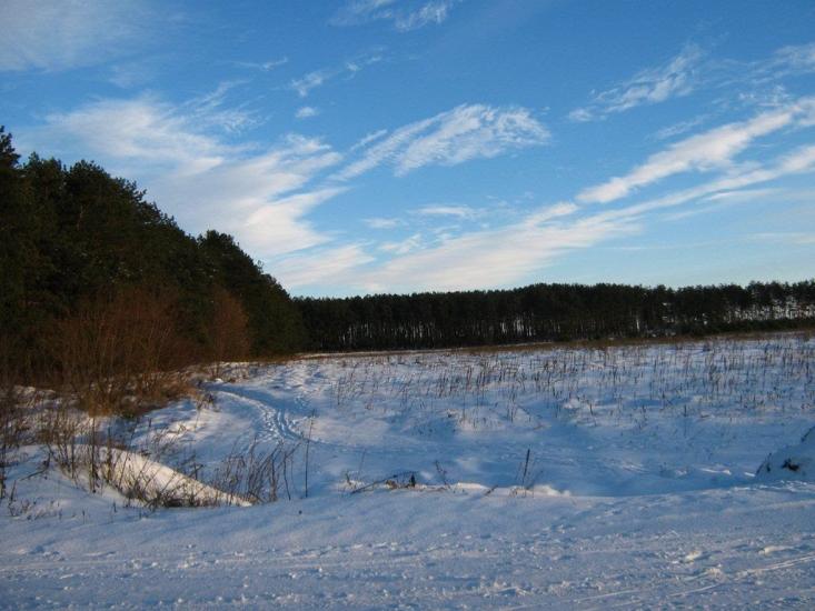 Велика Димерка з panoramio.com - Великая Дымерка