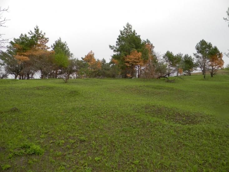 Івангород з panoramio.com - Ивангород