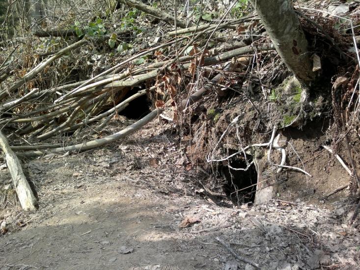 Сможе з panoramio.com - Сможе