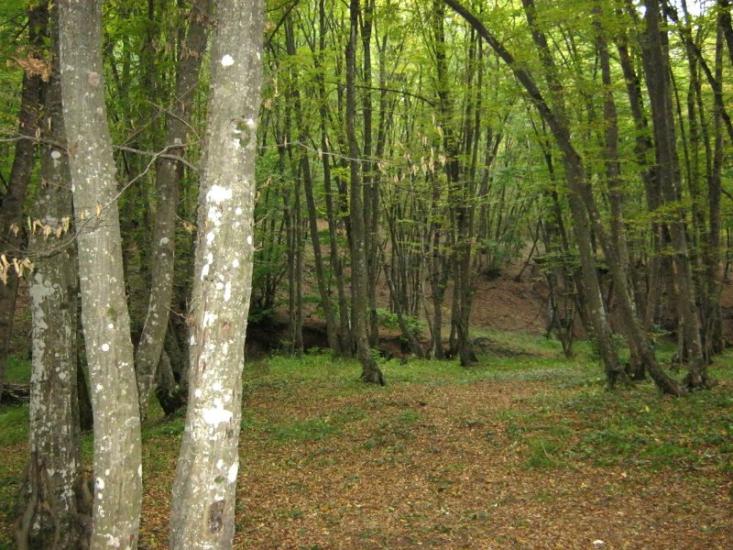 Перевалівка з panoramio.com - Переваловка