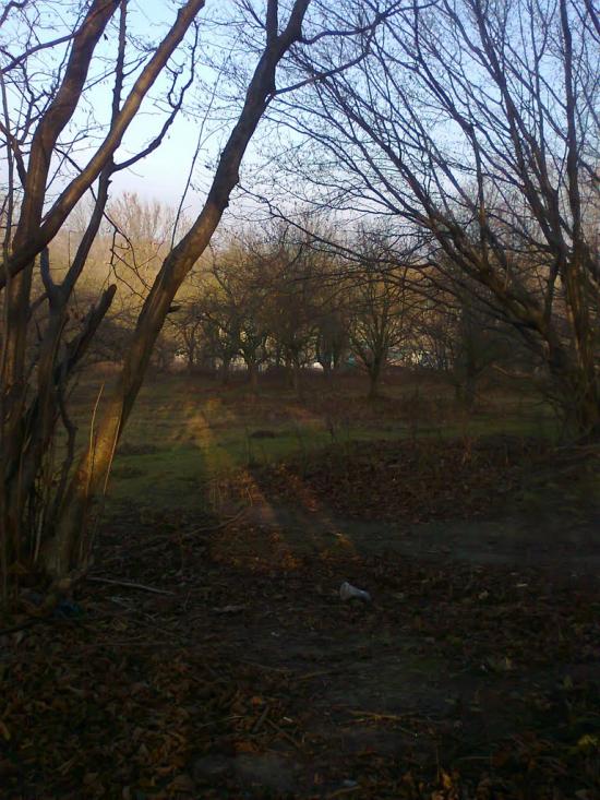 Вербовець з panoramio.com - Вербовец