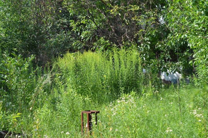 Сезенків з panoramio.com - Сезенков