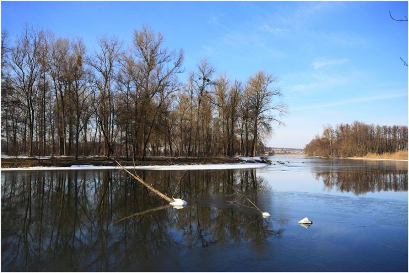 Низи з panoramio.com - Низи