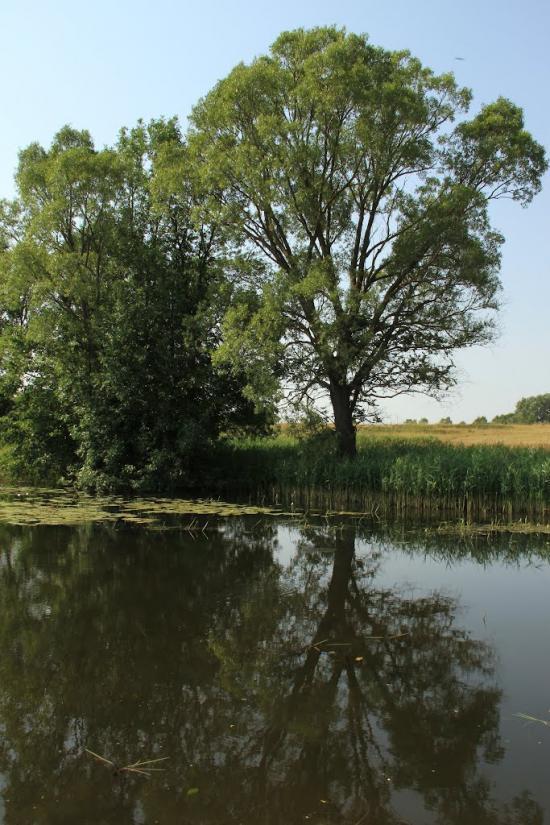 Деркачівка з panoramio.com - Деркачівка