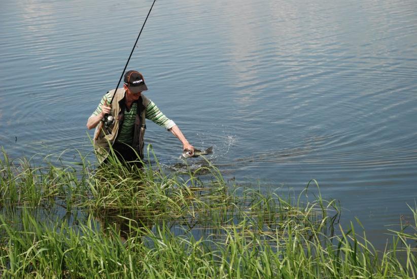 Новорозанівка з panoramio.com - Novorozanivka