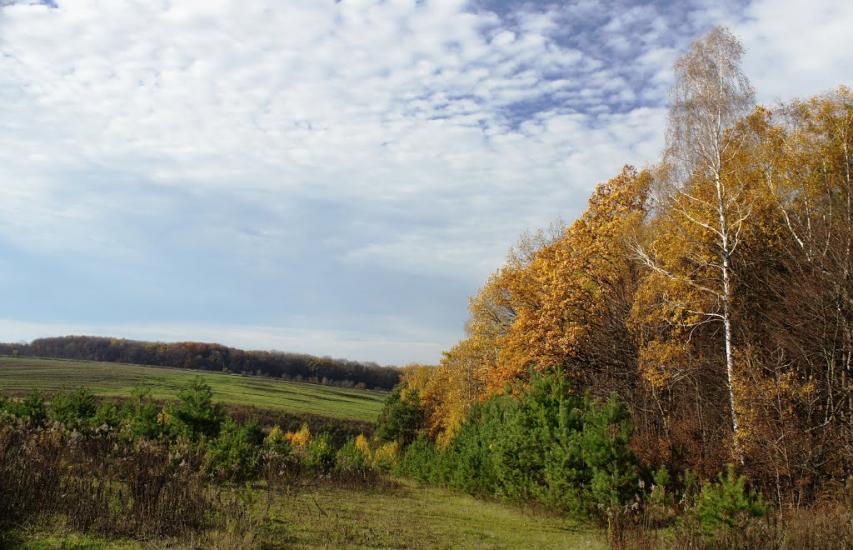 Борщівка з panoramio.com - Borschivka