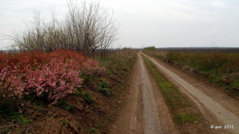 Зайцеве з panoramio.com - Зайцеве