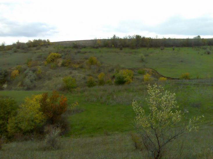 Фрунзівка з panoramio.com - Фрунзівка