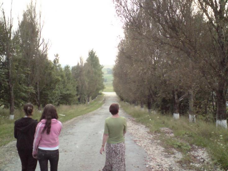 Павлів з panoramio.com - Pavliv