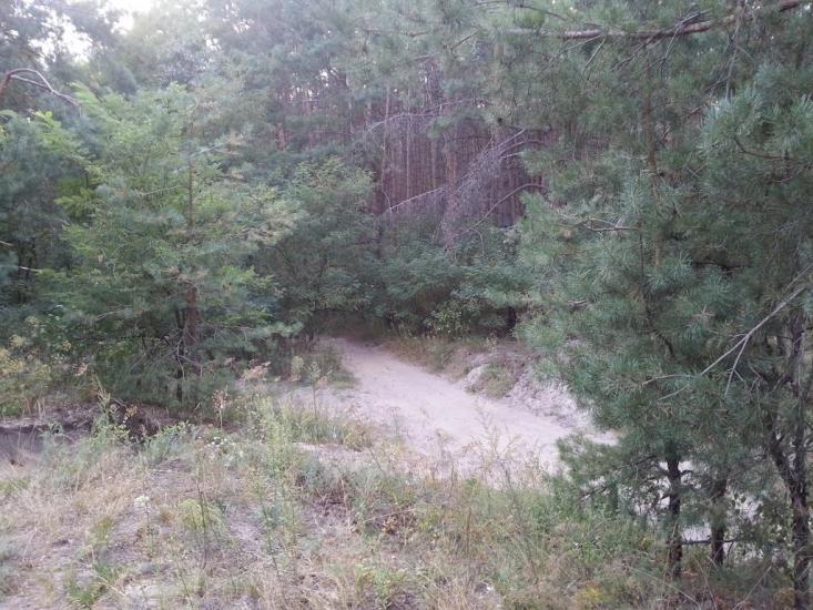Княжичі з panoramio.com - Княжичи