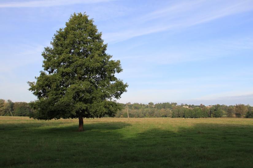 Деркачівка з panoramio.com - Деркачівка