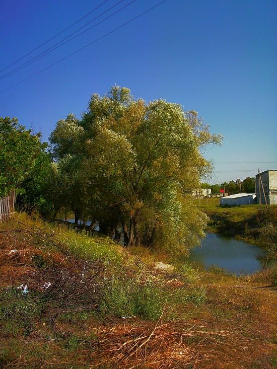 Холмівка з panoramio.com - Холмовка