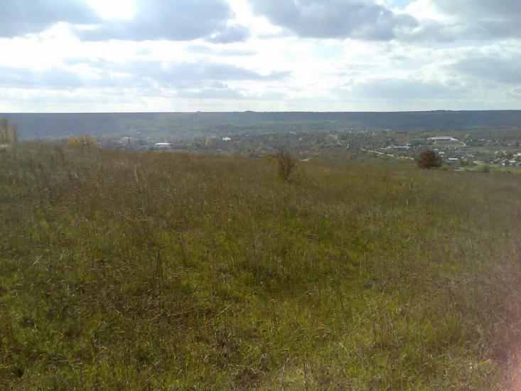 Фрунзівка з panoramio.com - Фрунзівка