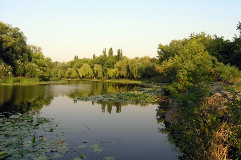 Новоархангельськ з panoramio.com - Новоархангельськ