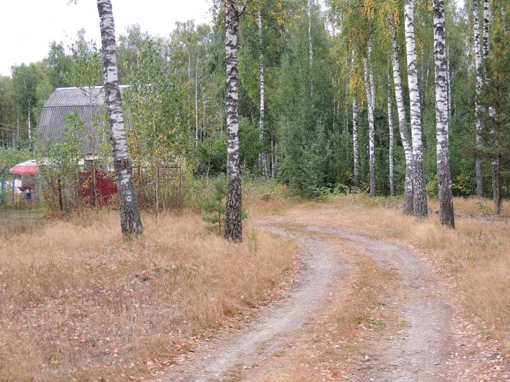 Деревини з panoramio.com - Деревины
