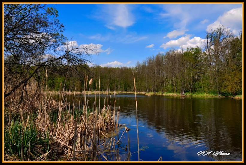 Серебрянка з panoramio.com - Serebryanka