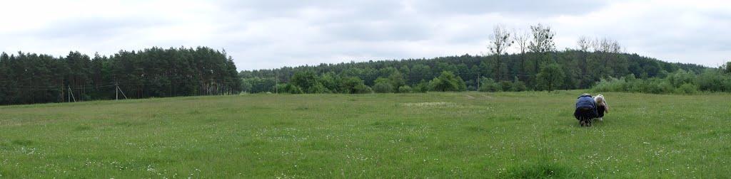 Хотин з panoramio.com - Хотын