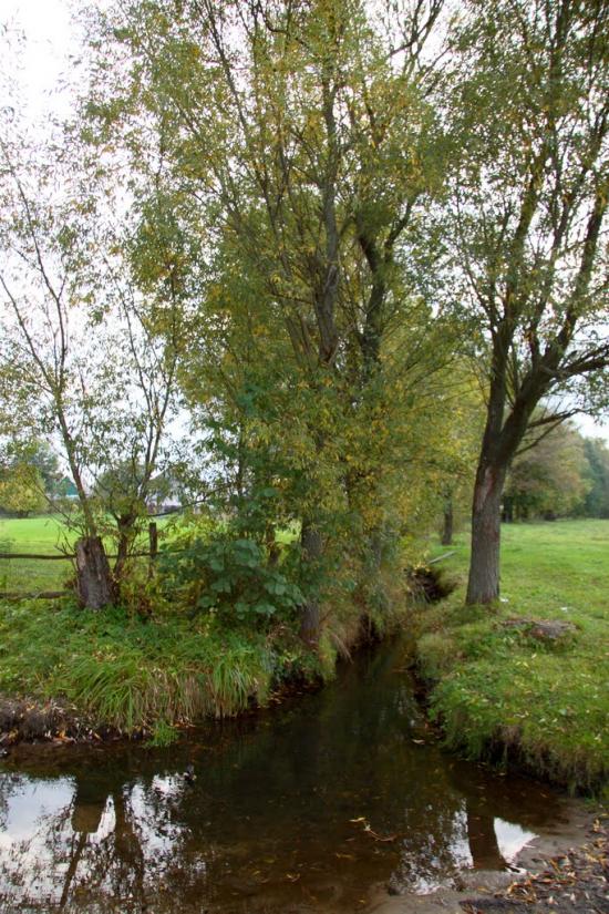 Вишевичі з panoramio.com - Vyshevychi